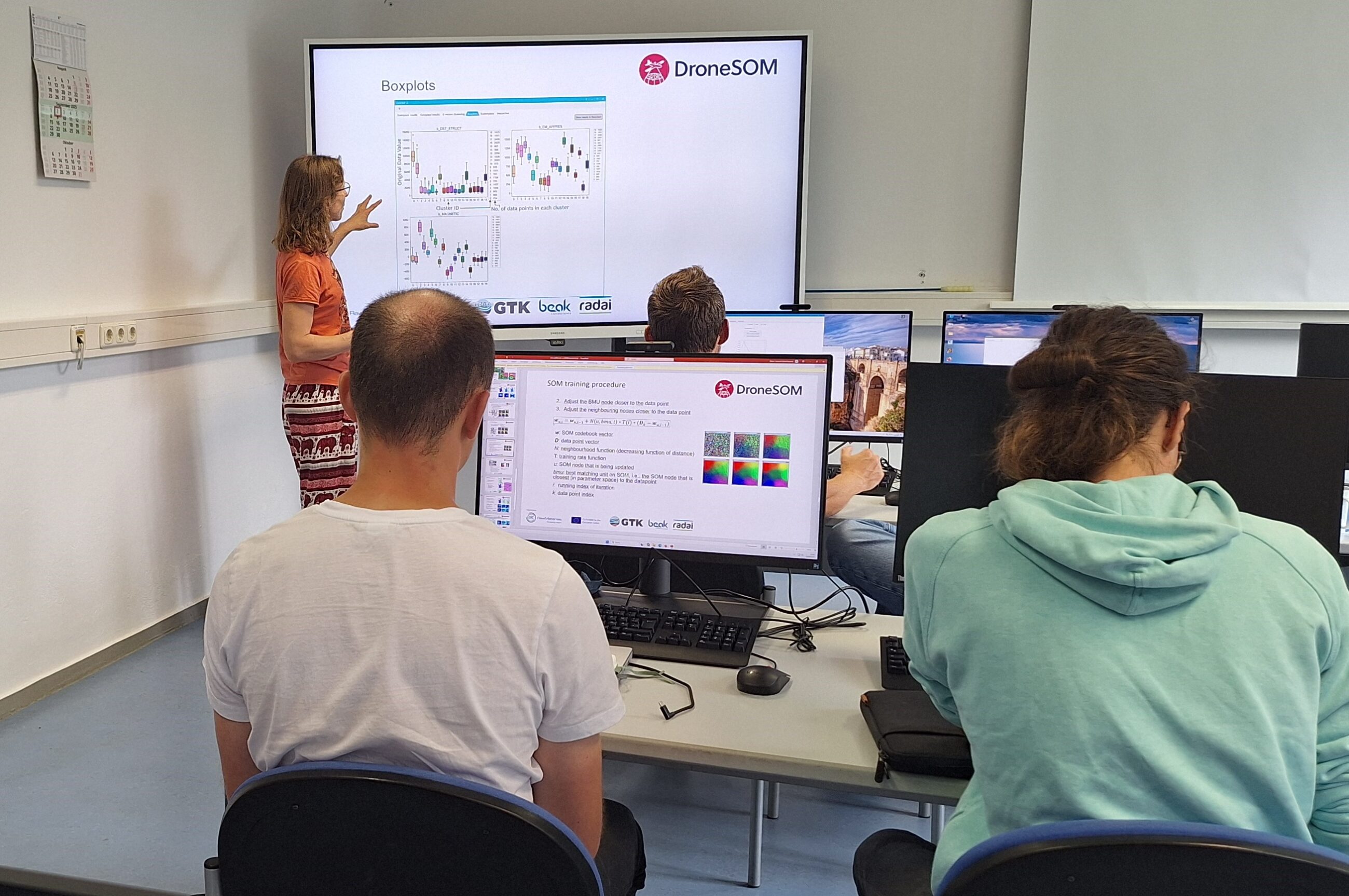 Johanna explaining the theory behind boxplots