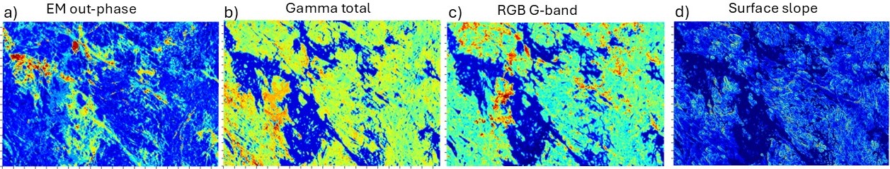 Different input data images: (a) electromagnetic (EM) response of the ground (out-of-phase component), (b) gamma radiation from the ground (total of uranium, thorium, and potassium), (c) green band (G) from an RGB aerial image, and (d) slope of the ground surface.